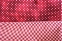 Picture of Red Liberty Companions Fabric Packet
