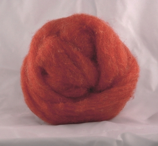Picture of Roving Poppy