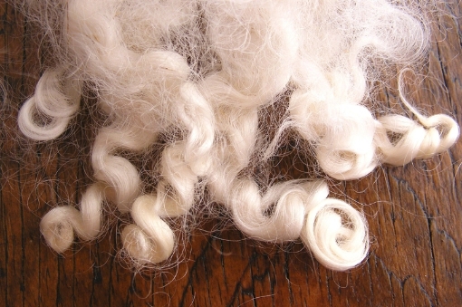 Picture of Lamb's Curls