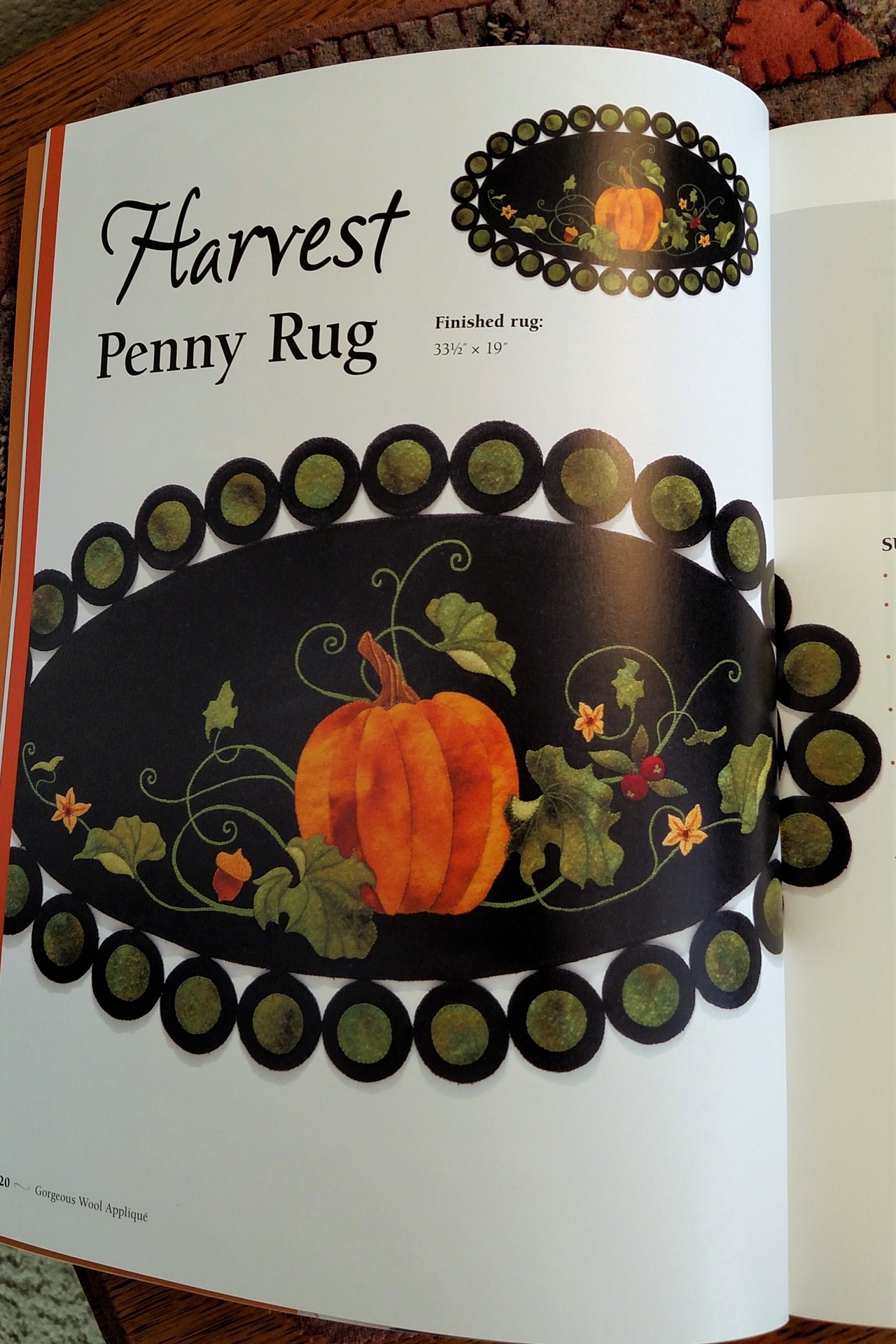 8 beautiful projects from pillows to a scissors case with embroidered