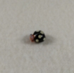 Ladybug Bead Black