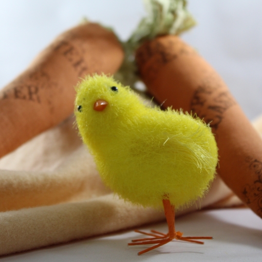 Picture of Fuzzy Chick