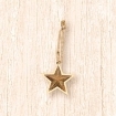 Metal Star on Wooden Base Ornament
