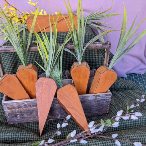 Wooden Carrots