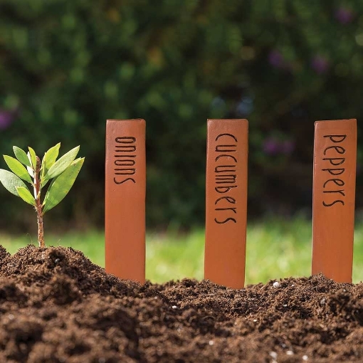 Picture of Vegetable Plant Stakes - Set of 6