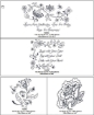 Floral Scroll RedWork Pattern for Machine Embroidery