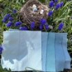 Picture of Robin Egg Blue Wool Bundle