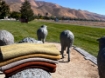 Picture of Trailing of Sheep Wool Bundle 