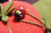 Grandma's Tomato Pin Cushion - Hand Embroidery Pattern