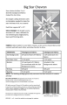 Big Star Chevron - Quilt Pattern
